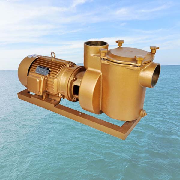 Brass Chemical Pump